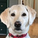 Profile Picture of Ruby Doobie Chew (@ruby_doobie_chew) on Instagram