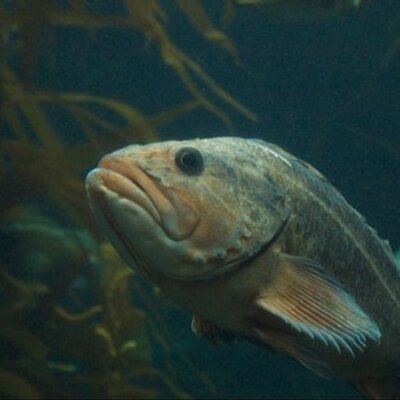 Profile Picture of Darin Roberts (@ddrobe6) on Twitter
