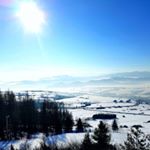 Profile Picture of Matthew Mahony (@matthew.mahony_805) on Instagram