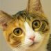 Profile Picture of Kathy Goad (@profile.php) on Facebook