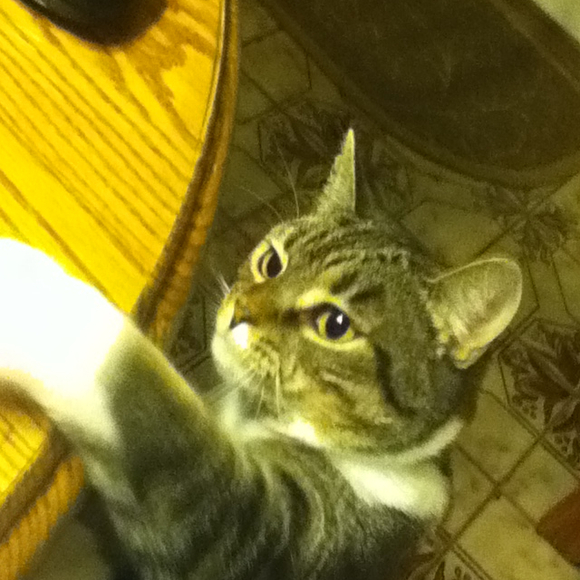 Profile Picture of Lindsay Gorman (@lkg112589) on Poshmark