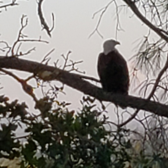 Profile Picture of Mark Farrington (@markfarrington) on Poshmark