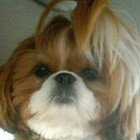 Profile Picture of Barbara Daniels (@barbara.daniels.3154) on Instagram