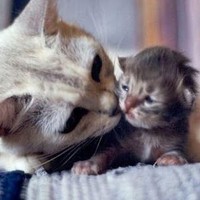 Profile Picture of Munaye Yene (@munaye-yene) on Quora