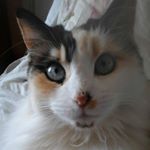 Profile Picture of claudine JEAN (@jeaclaudine) on Instagram