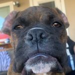 Profile Picture of Jason Macias (@jamonn01) on Instagram