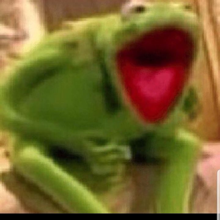 Profile Picture of Joshua Ross (@kermittdafrogg) on Tiktok