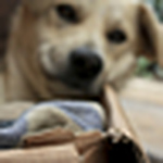 Profile Picture of Ivan  Melo (@kontenidophotos) on Flickr