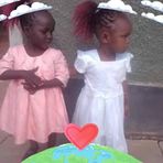 Profile Picture of Terry Katte (@Terry-Katte) on Facebook