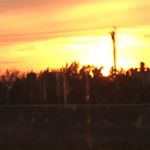 Profile Picture of joao (@johnviveirospersonal) on Instagram