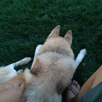 Profile Picture of Luis Lujan (@luis-lujan-9) on Quora