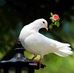 Profile Picture of Sam Chacko (@sam.chacko.5473) on Facebook