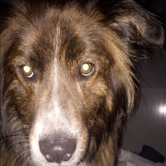 Profile Picture of Olivia Ferrell (@oliviaf321) on Poshmark