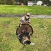 Profile Picture of Dan Benoit (@dan.benoit.52) on Facebook
