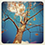 Profile Picture of Jun Li (@Jun@Fudan) on Flickr