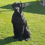 Nathan Lor - Facebook Profile Picture of Nathan Lor (@nathan.lor.161) on Facebook