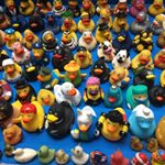 Profile Picture of Michael Nold (@miguelchimichurri) on Instagram