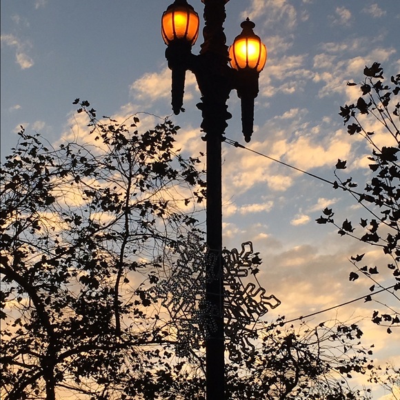 Profile Picture of Laurie Bogert (@lemarais) on Poshmark