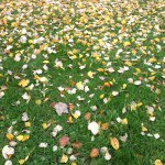 yadataln - Instagram Profile Picture of yadataln (@yadataln) on Instagram