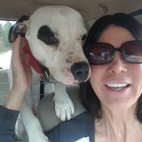 Mona Stephens - Poshmark Profile Picture of Mona Stephens (@doggirl4) on Poshmark