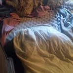 Profile Picture of Danny E Foster (@Danny-E-Foster) on Facebook