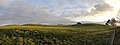 Profile Photo of Sutton Hoo - Wikipediaon Wikipedia