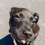 Profile Picture of David Herry (@David-Herry) on Facebook