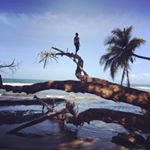 Profile Picture of Dusty Hedstrom (@dustinhedstrom) on Instagram