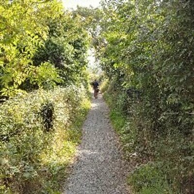 Profile Picture of Kevin Herrmann (@Helenos91) on Twitter