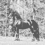 Profile Picture of putillo__ (@putillo__) on Instagram