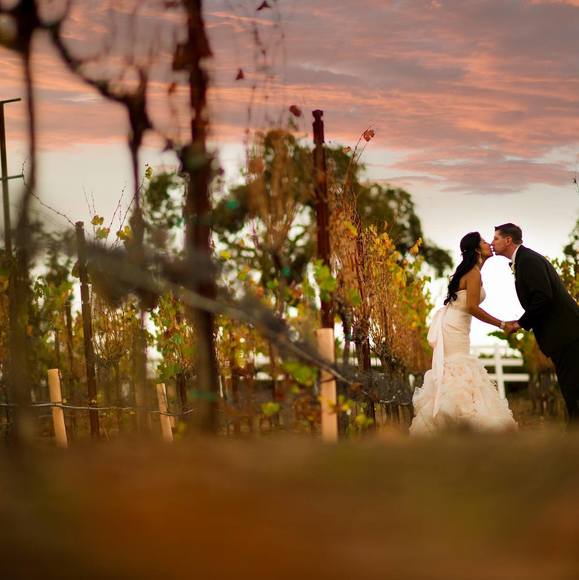 Christopher Desantis - Poshmark Profile Picture of Christopher Desantis (@christopherdesa) on Poshmark