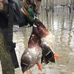 Profile Picture of ken_o_treece (@ken_o_treece) on Instagram