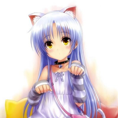 Profile Picture of Steven Aubin (@super00cool) on Twitter