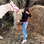 Profile Picture of Martina Bollati (@bollatimartina) on Instagram