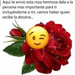 Profile Picture of Sonia Basilio (@basilio_sonia) on Instagram