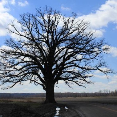 Profile Picture of Huang Sing (@HuangSing4) on Twitter