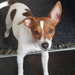 Profile Picture of Ruby (@ruby_earl_shade_ember) on Instagram