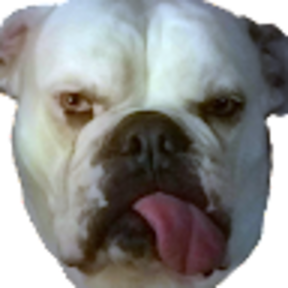 Profile Picture of Bill Different (@jesachor) on Poshmark