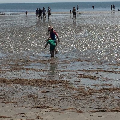 Profile Picture of Stephen_James_Norton (@TimperleySunset) on Twitter