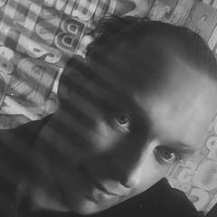 Profile Picture of Johannes Postma (@johannes.postma7) on Tiktok