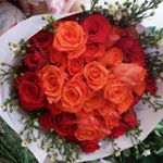 Profile Picture of Trinh Hua (@trinhhua232) on Instagram