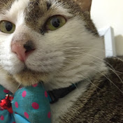 Profile Picture of Clarence Yu (@tw69408tw) on Youtube