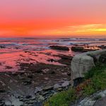 Profile Picture of Thomas Riley (@thomas__riley) on Instagram