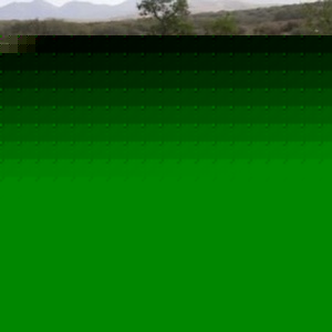 Profile Picture of Adam Thurman (@371313884) on Myspace