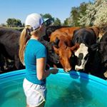 Profile Picture of Julia Hennessey (@julia.hennessey.54) on Instagram