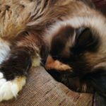 Profile Picture of Jake Carson (@jake.carson.96387) on Instagram