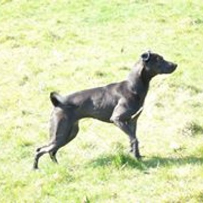 Profile Picture of Kevin N Cowling (@kevincowling73) on Twitter