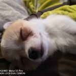 Profile Picture of Maria Strübing (@strubingmaria) on Instagram