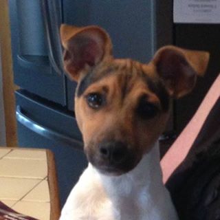 Profile Picture of Jo Ridgeway (@jo.ridgeway.94) on Facebook