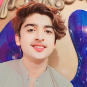 Profile Picture of Syed Adnan Vlogs  (@syedadnanvlogs) on Youtube